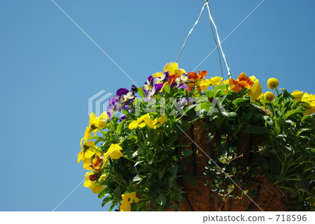 Flower basket 718596