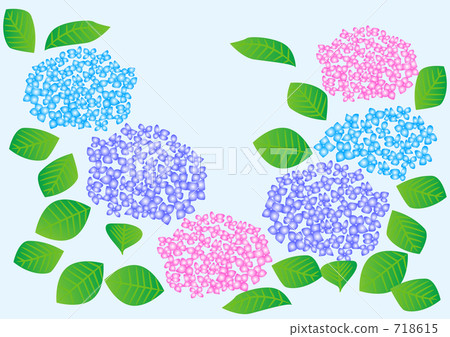 Hydrangea illustration 718615