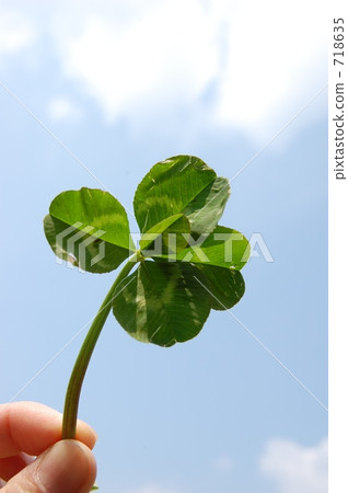 五葉三葉草! 五葉三葉草! 718635
