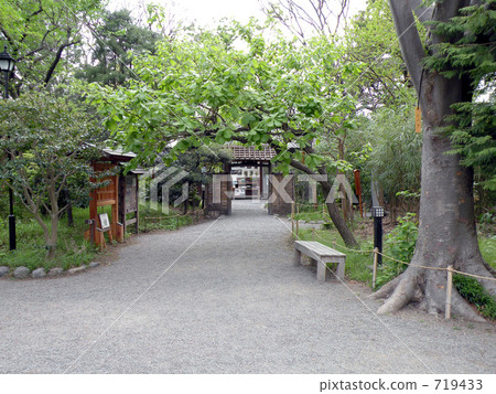 Mukojima Hyakuen Mukojima Hyakuen 719433