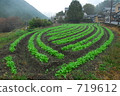 菜地 原野 田地 719612