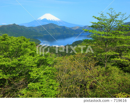 新鮮的綠色湖Ashinoko和富士 新鮮的綠色湖Ashinoko和富士 719616