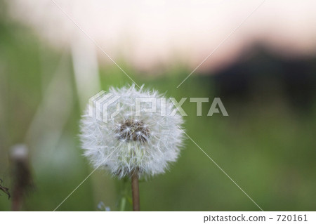 Waste of dusk 720161