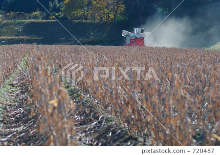 收穫大豆田 720487