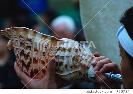 conch conch 720784