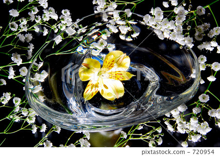 Floating flowers Floating flowers 720954