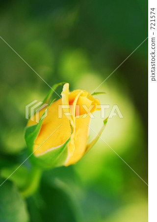 Mrs P. S du Pont 721574