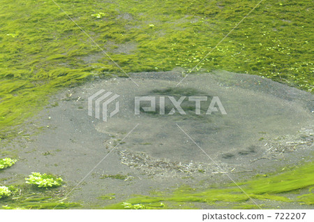 Spring of Kakita River Spring of Kakita River 722207