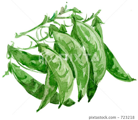 法國菜豆 蔬菜 明亮 723218