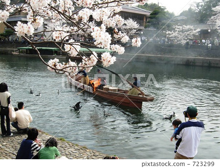 在宇治櫻花節的鸕鶿鸕鶿 在宇治櫻花節的鸕鶿鸕鶿 723299