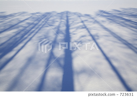 雪原的陰影 雪原的陰影 723631