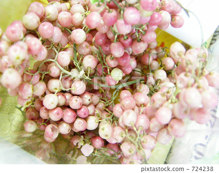 Fragment of Pepperberry Fragment of Pepperberry 724238