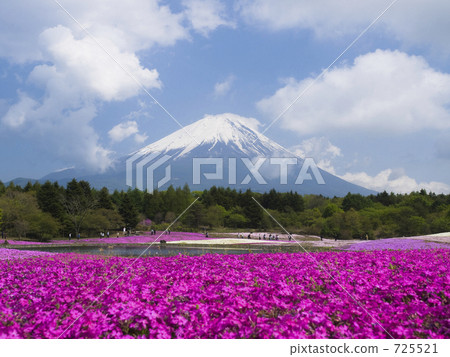 富士山和蘑菇 725521