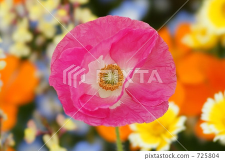 Spring frown face Spring frown face 725804