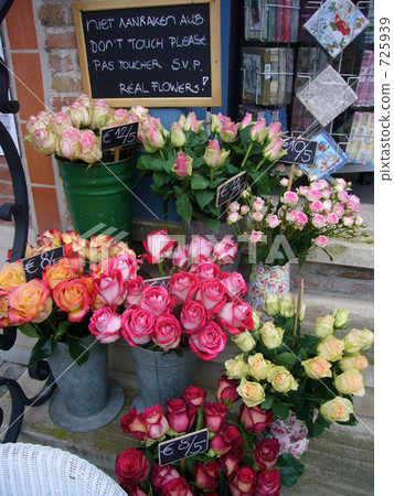比利時花店 比利時花店 725939