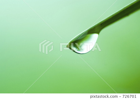 水滴 生態學 生態 726701