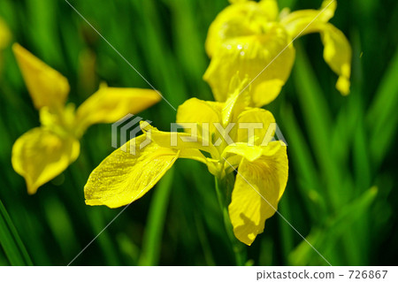 Kishoub 2 Kishoub 2 726867