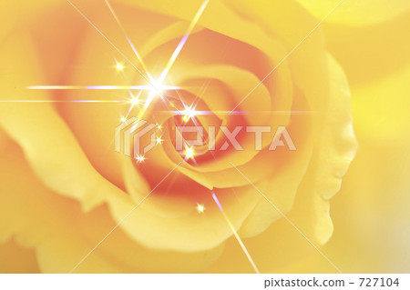 閃閃發光的玫瑰 閃閃發光的玫瑰 727104