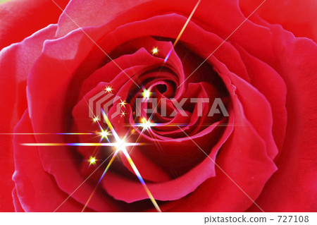 Sparkling Rose 727108