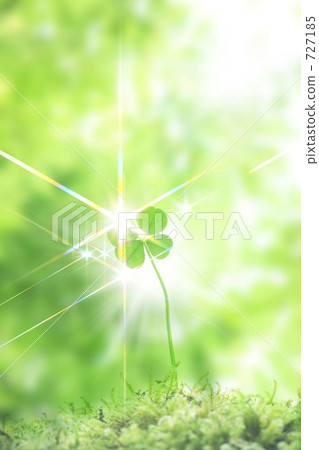 four Leaf Clover four Leaf Clover 727185