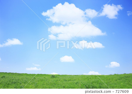 Meadow Meadow 727609