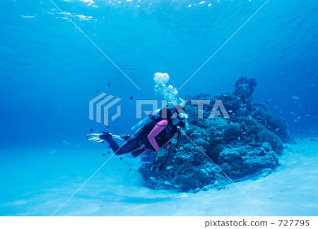 scuba diving, scuba dive, diving 727795