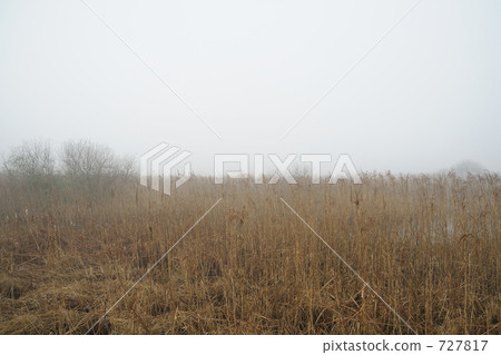 Mist of Mist 2 Mist of Mist 2 727817