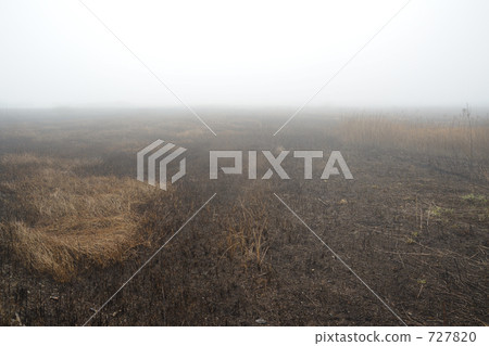 Mist farmland 727820