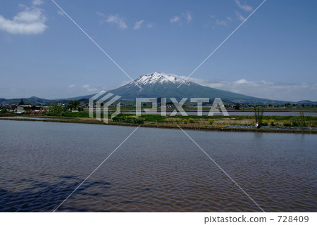 Paddy fields in May Paddy fields in May 728409