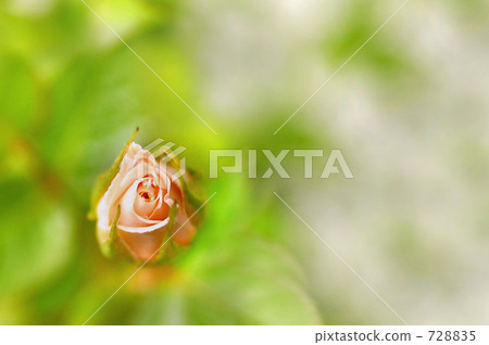 醒來的時候 728835