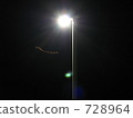 Moth gathering in a streetlight 728964