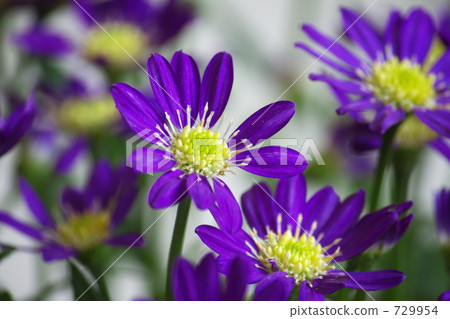 Forgetfulness Forgetfulness 729954