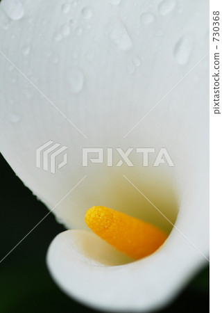 雨天的顏色 730368