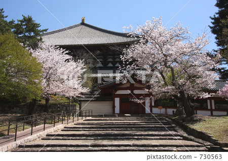 Buddha statue and cherry tree Buddha statue and cherry tree 730563