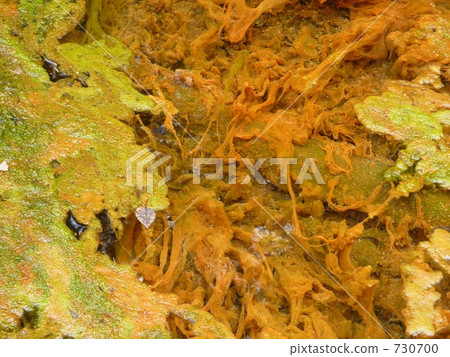 變色的小溪 730700