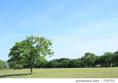 AozoraⅡ AozoraⅡ 730701