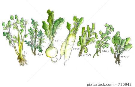 Seven herbs of spring 730942