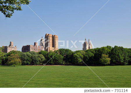 Early morning sheep meadow 731114