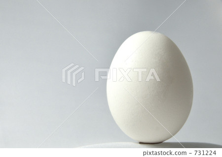 Egg 1 731224