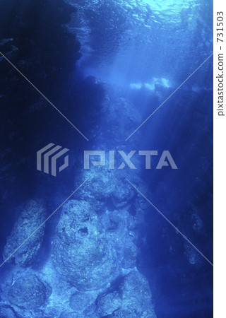 水生的 水下 在水中 731503