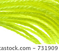 Yellow cotton thread 731909