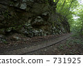 logging railways, logging railroads, otaki village 731925