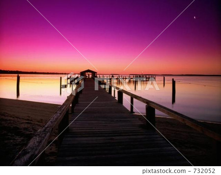 紫色 傍晚 732052