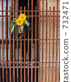 Quiet summer 732471