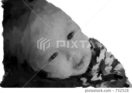 baby   732528