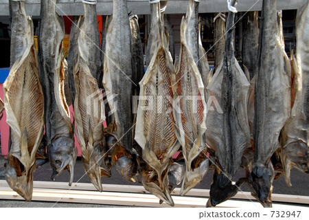 三文魚曬傷283 732947