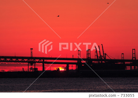 Seagull flying in the sky at sunrise Seagull flying in the sky at sunrise 733055