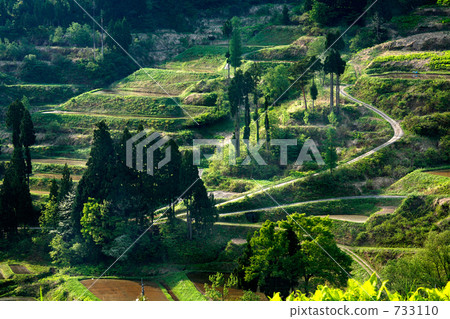 Matsunoyama Rice paddy of Rainwater 733110
