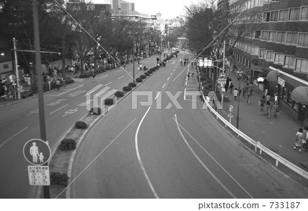 原宿/表參道昭和54年 原宿/表參道昭和54年 733187