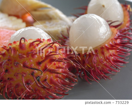 rambutan, fruit, fruits 733229